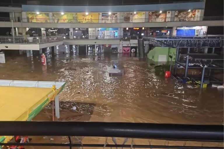 Los cines valencianos se convierten en refugio ante la tormenta